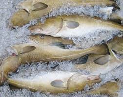 Viðmiðunarverð í gildi frá 3. desember 2025